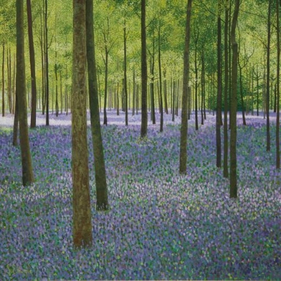 Bluebell Woods Card